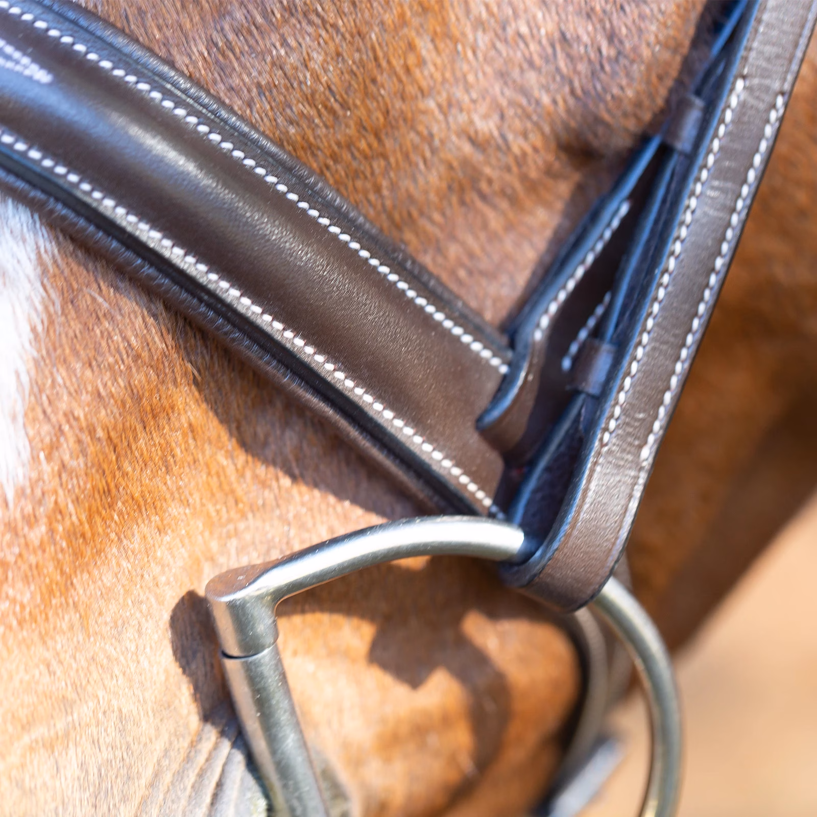Equinavia Saga Wide Noseband Hunter Bridle with Reins