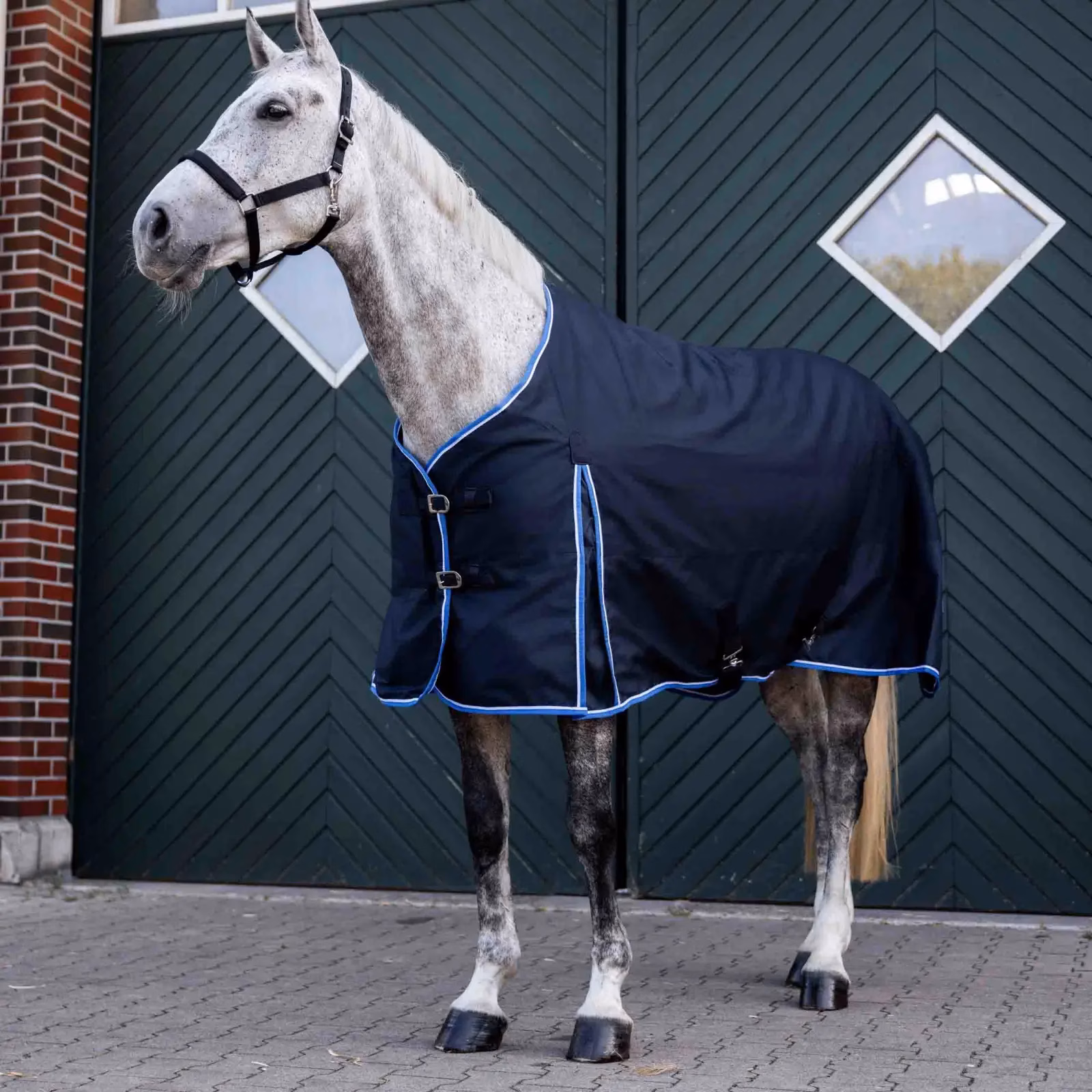 Horze Glasgow Heavy Weight Turnout Blanket 350g