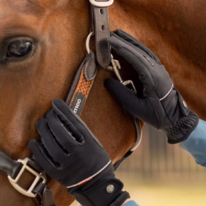 B Vertigo Rahel Thinsulate Winter Riding Gloves