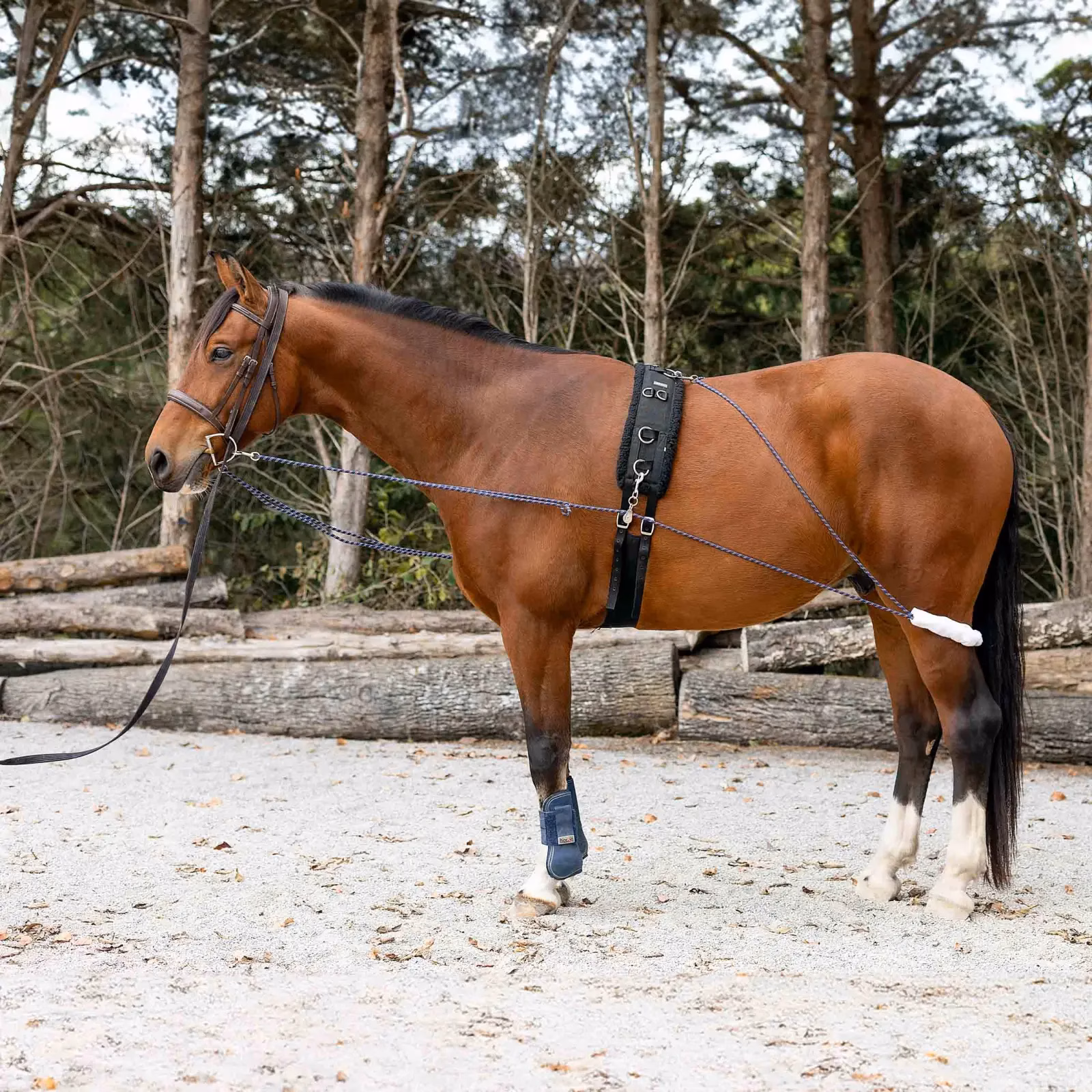 Horze Lunging Aid