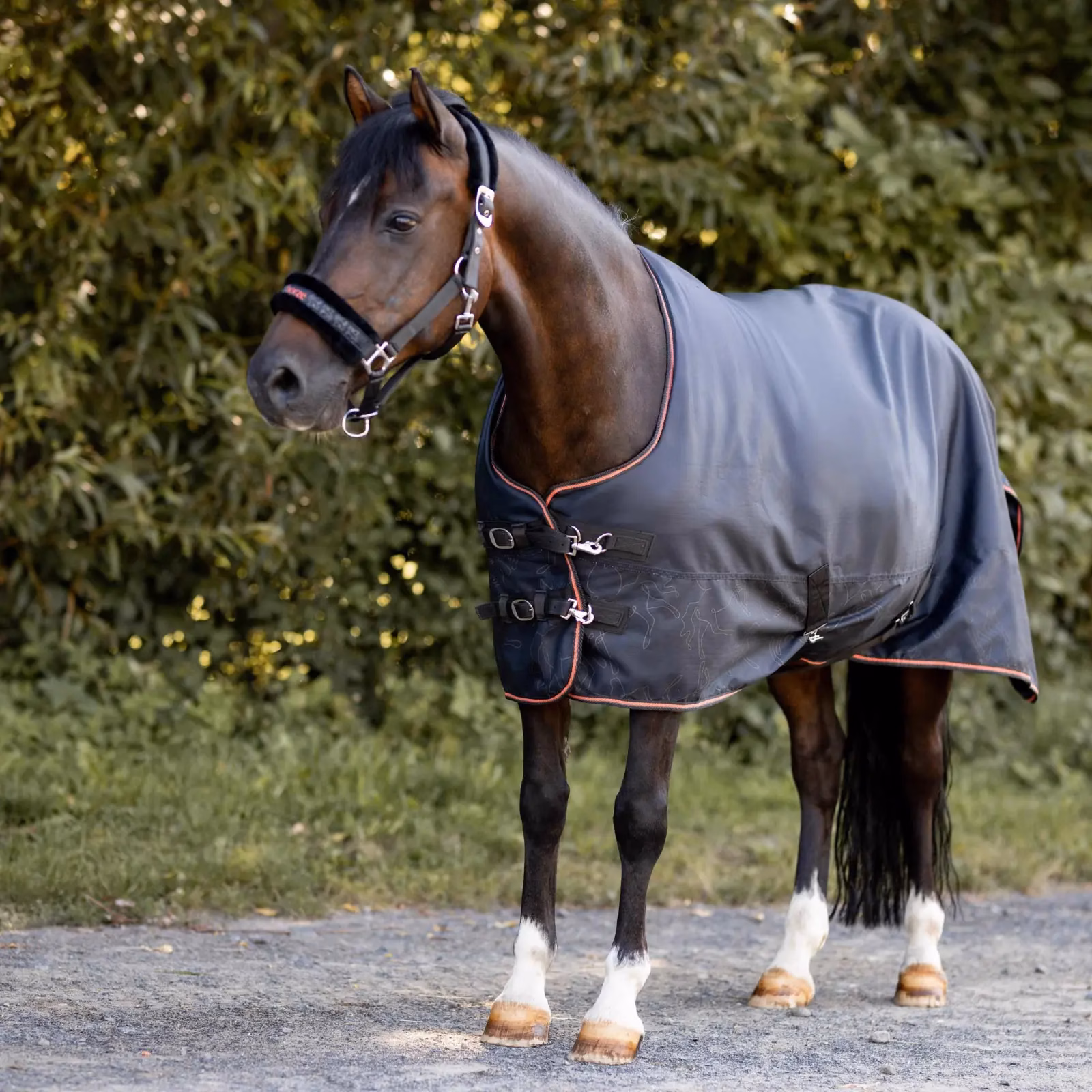 Horze Pegasus Pony Fleece Lined Turnout Blanket