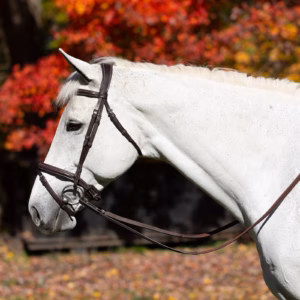 Equinavia Valkyrie Flash Bridle & Rubber Reins