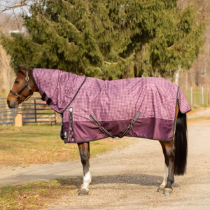 Equinavia Norse Lightweight Turnout Blanket