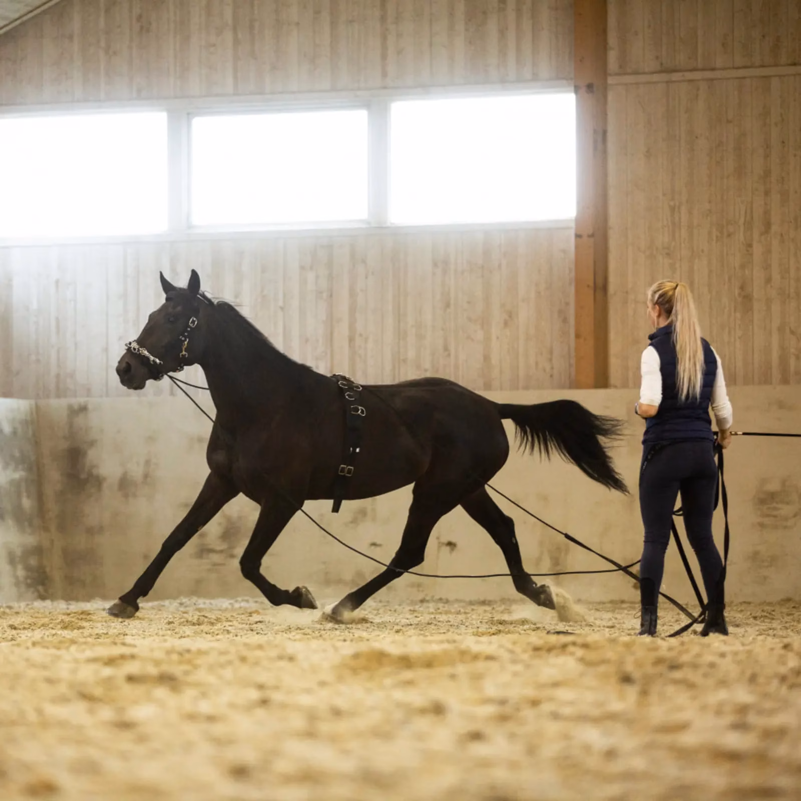 Horze Lunging Surcingle Nylon