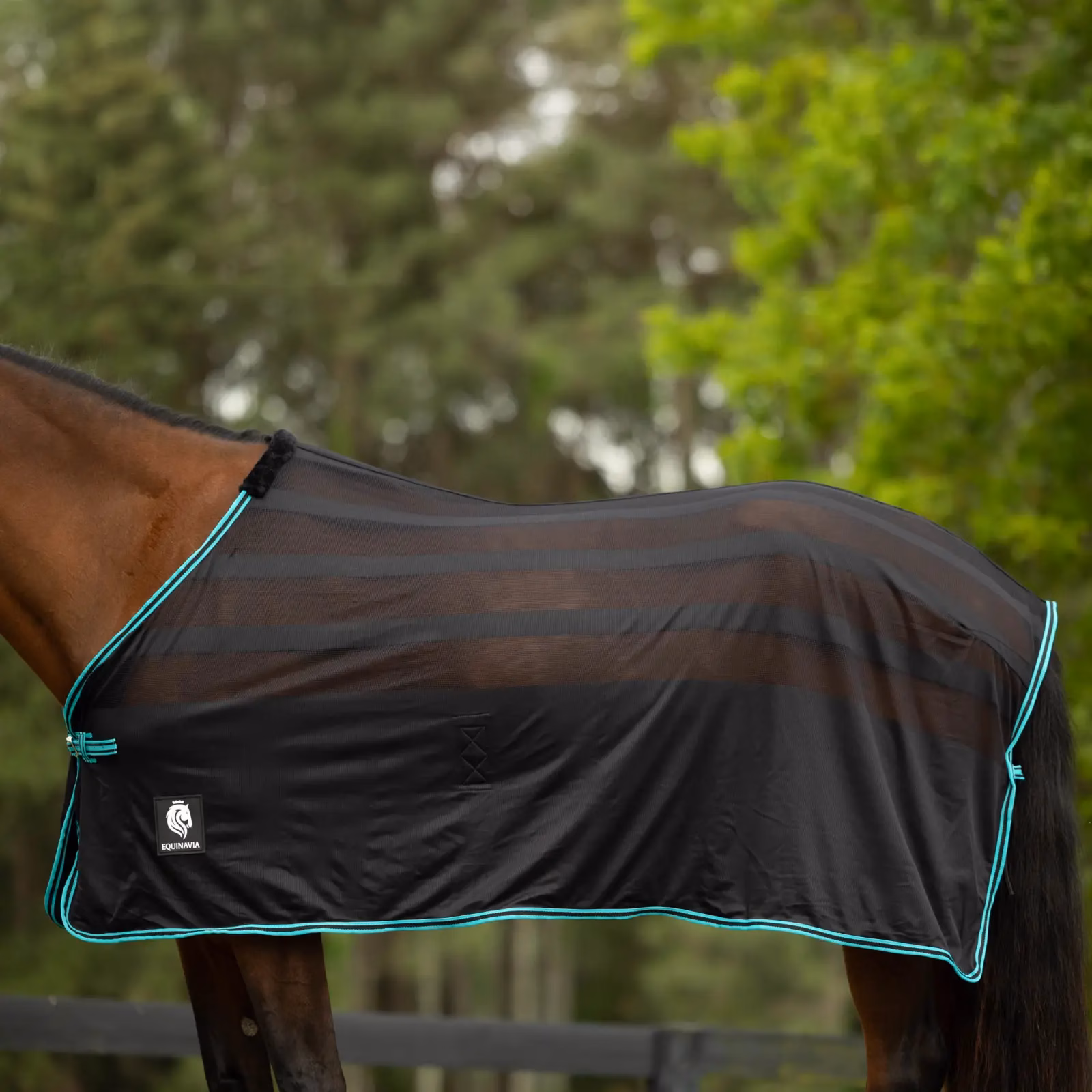 Equinavia Sefyr Scrim Sheet