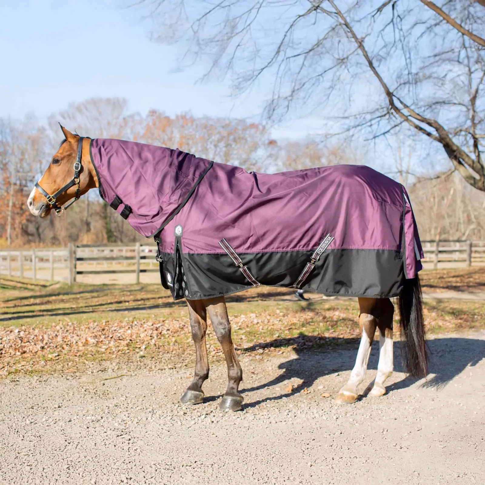 Equinavia Thunder 360 Detachable Neck Light Weight Turnout Blanket 100g