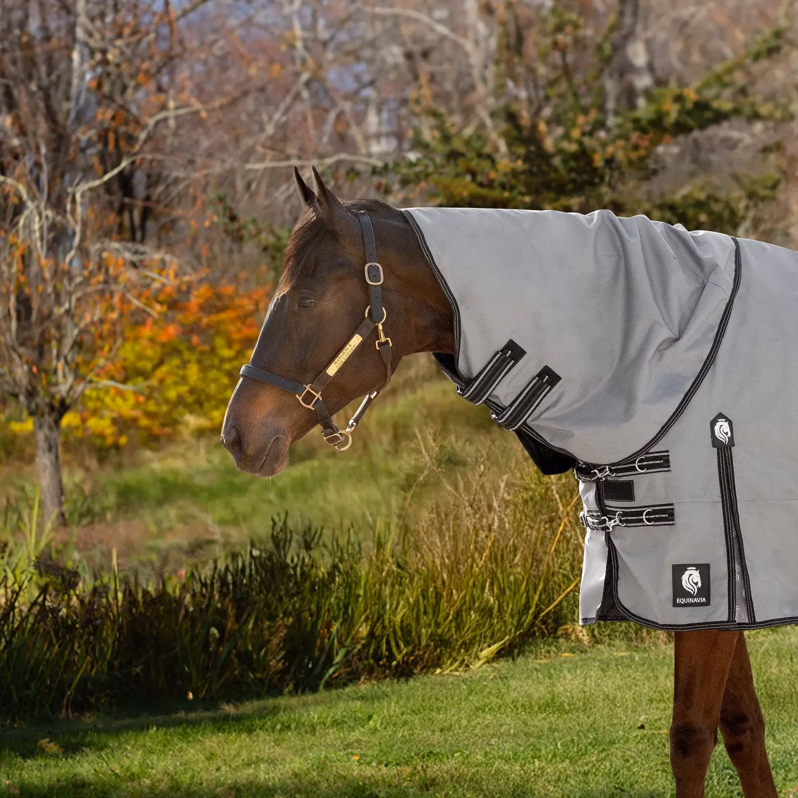 Equinavia Arktis Turnout Neck Cover No Fill