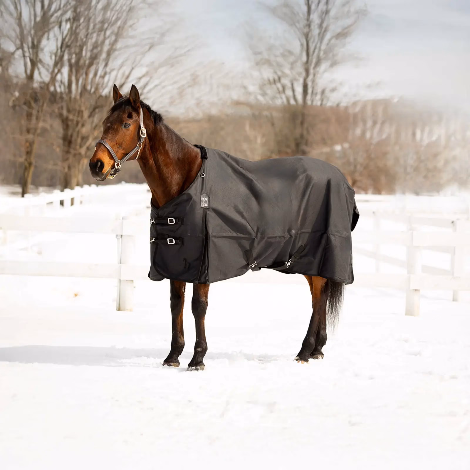 Horze Nevada Mid Weight Turnout Blanket 200g