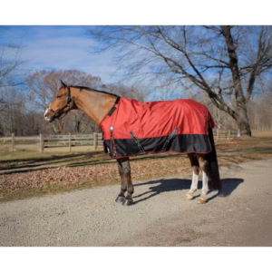 Equinavia Norse Turnout Sheet