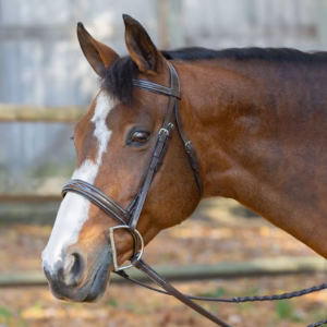 Equinavia Saga Wide Noseband Hunter Bridle with Reins