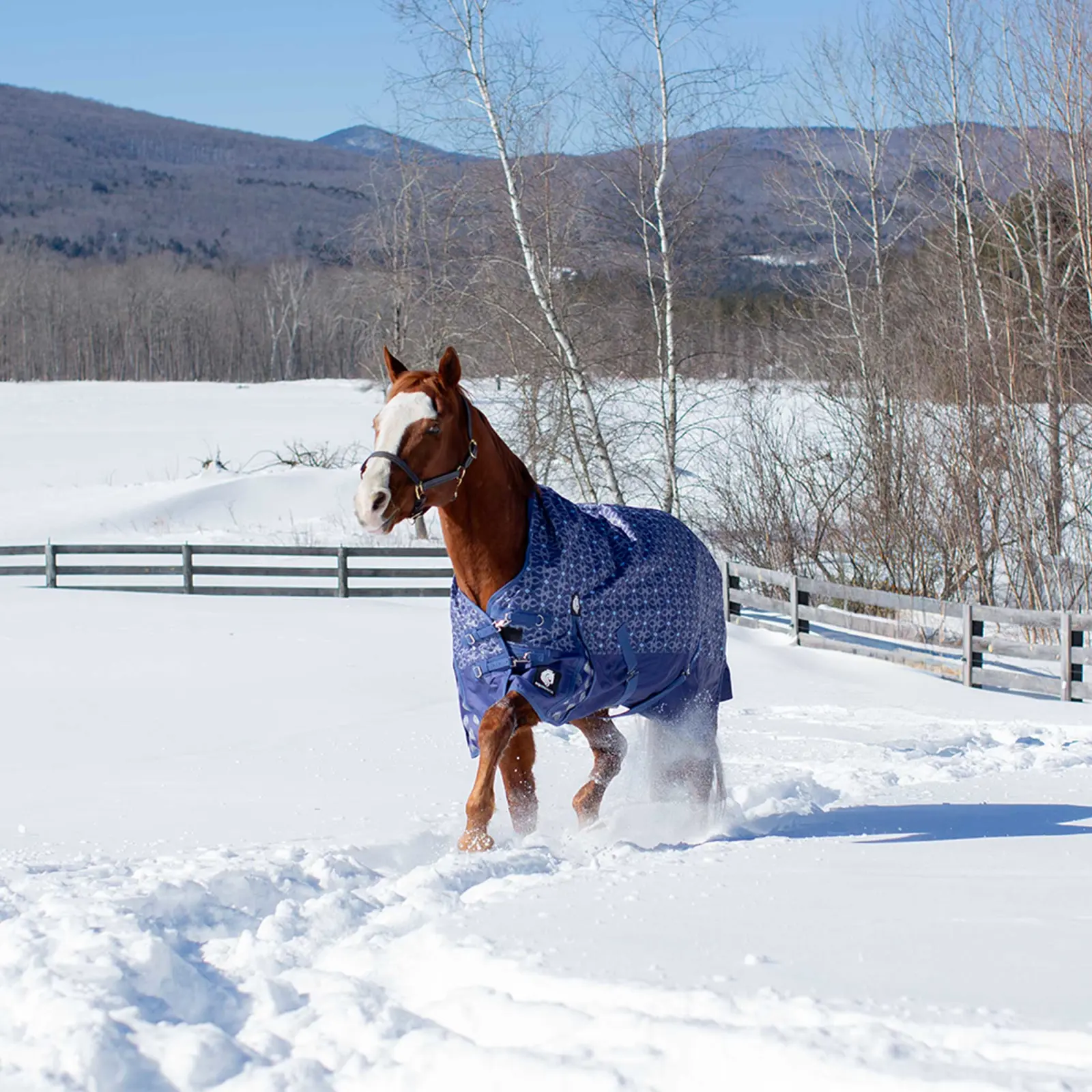 Equinavia Arktis Extended Neck Light Weight Turnout Blanket