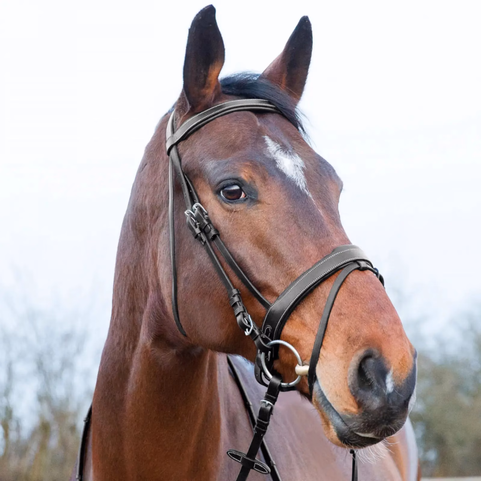 Horze Venice Soft Padded Bridle w/ Reins