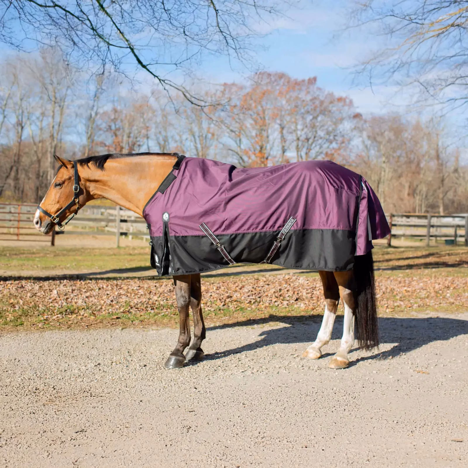 Equinavia Thunder 360 Detachable Neck Light Weight Turnout Blanket 100g