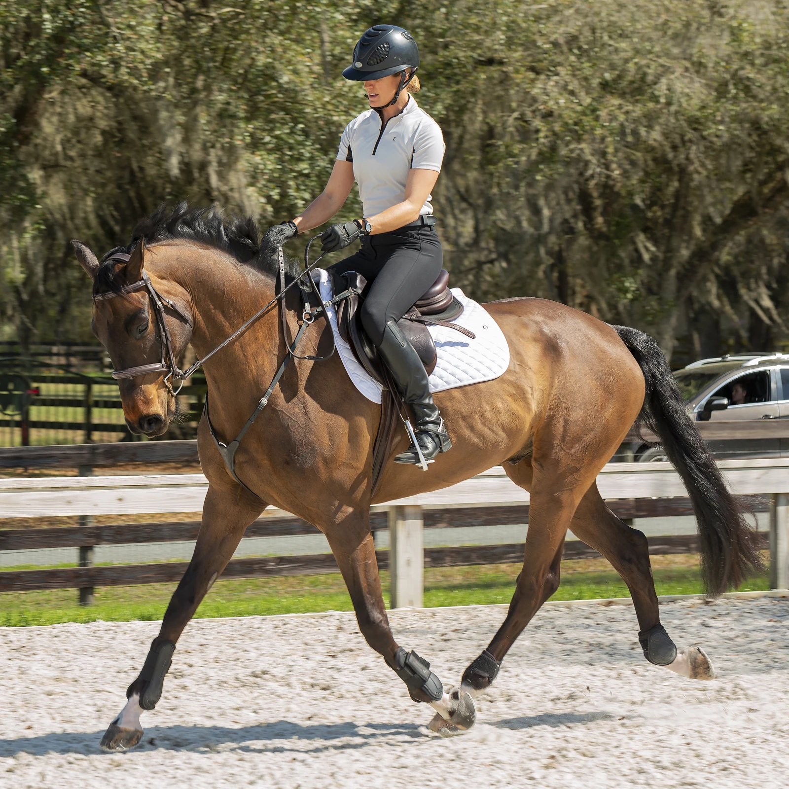 Equinavia Maud Womens Knee Patch Breeches