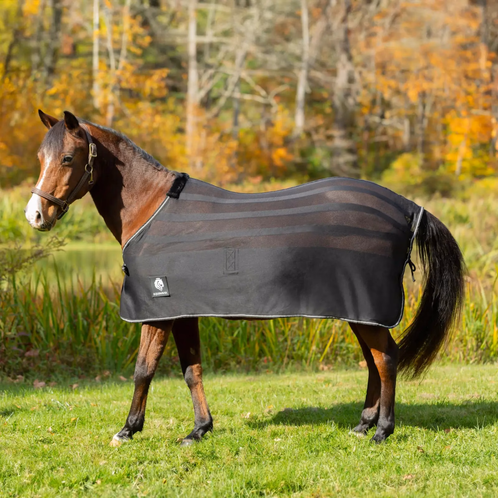Equinavia Sefyr Scrim Sheet
