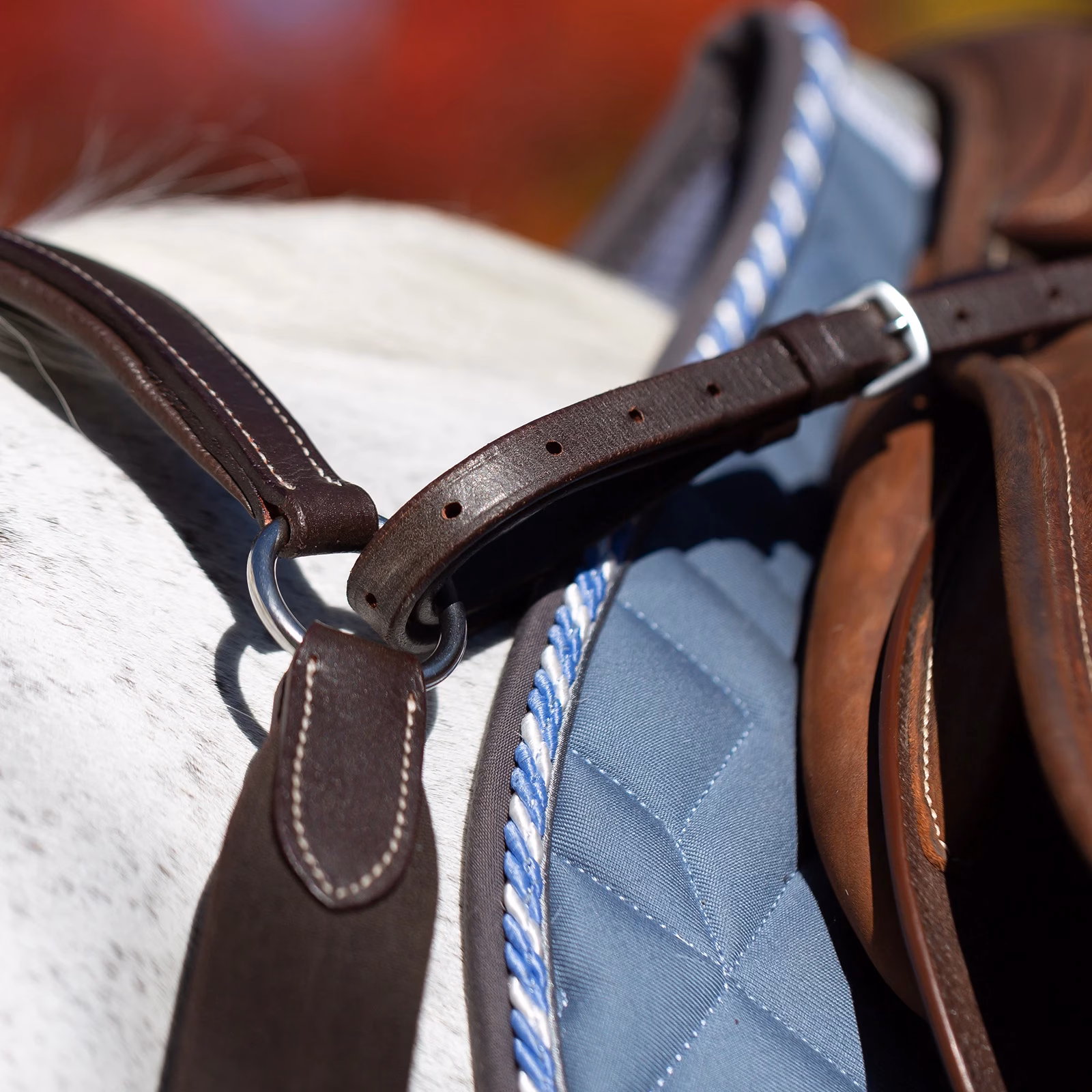 Equinavia Saga 5-point Breastplate