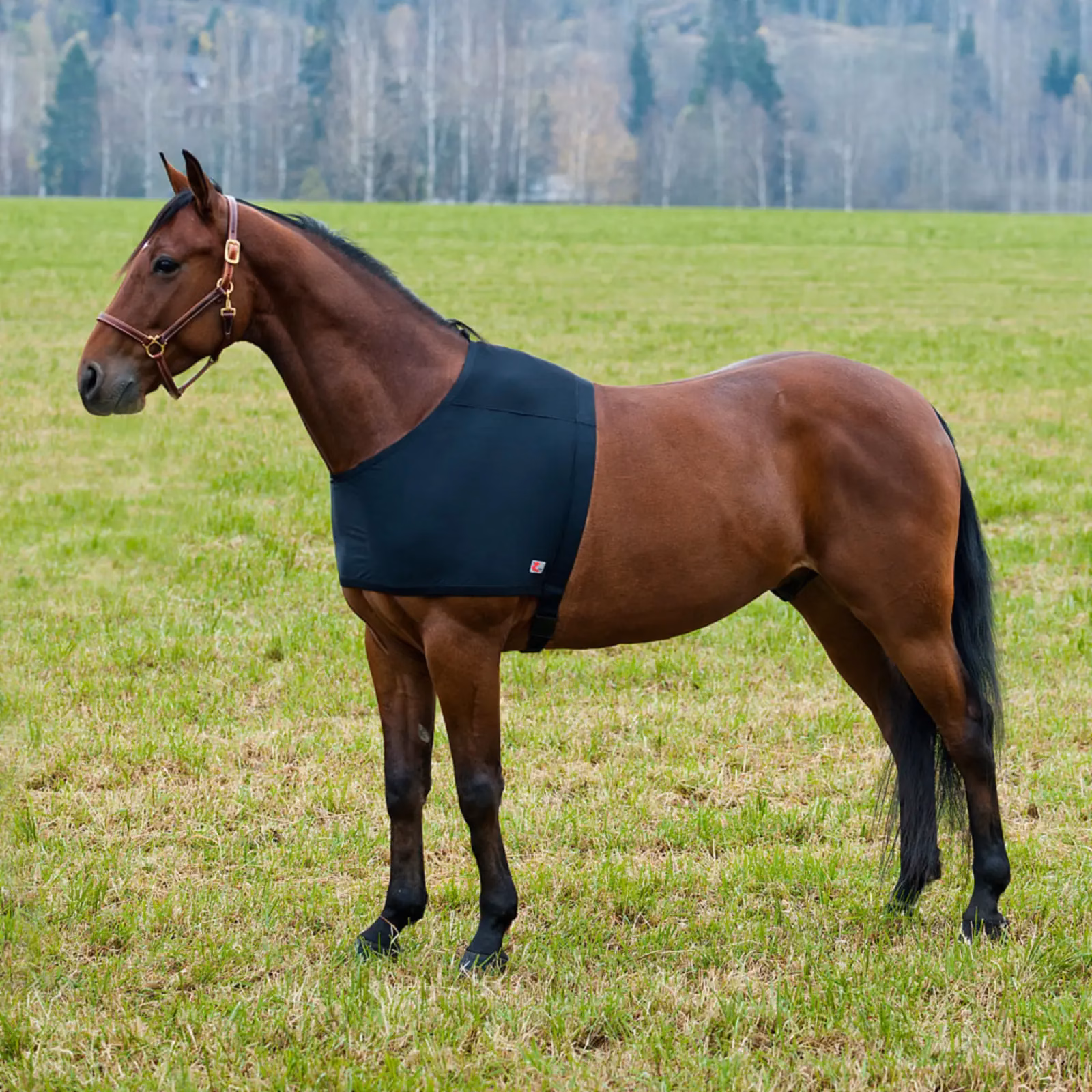 Horze ComForce Blanket Shoulder Guard