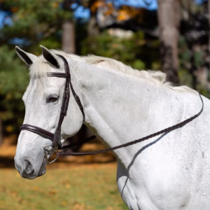 Equinavia Valkyrie Wide Noseband Hunter Bridle with Reins