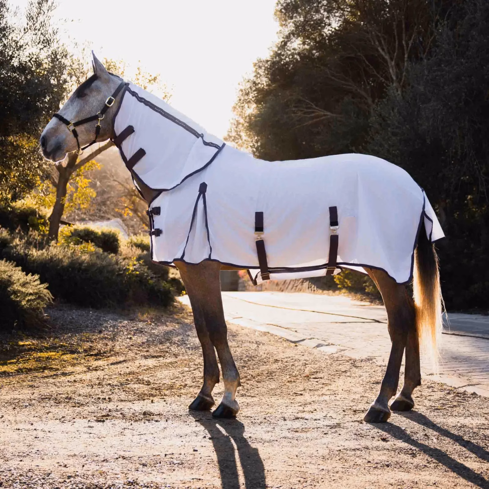 Horze La Paz Detachable Neck Fly Sheet with Fly Mask