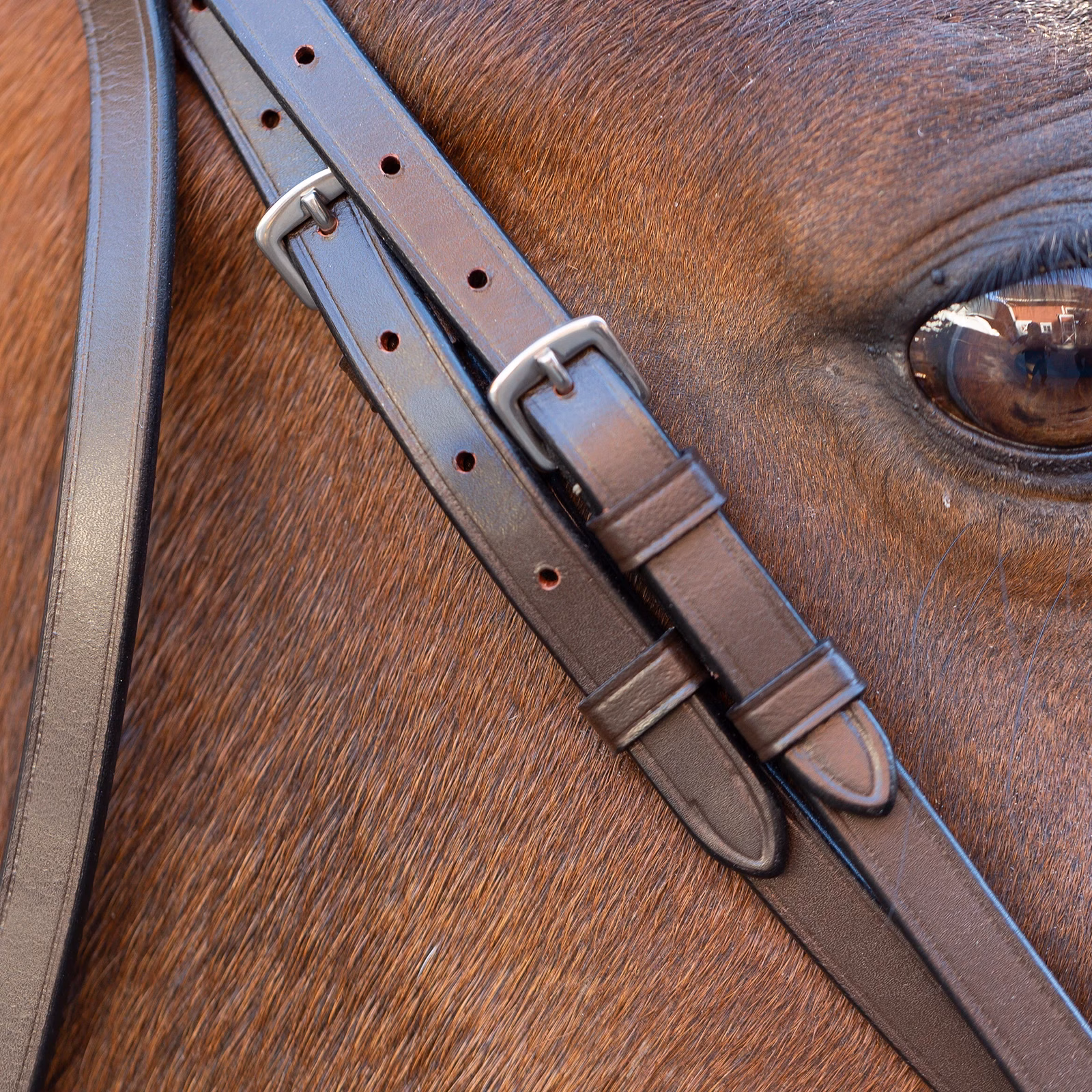 Equinavia Saga Wide Noseband Hunter Bridle with Reins