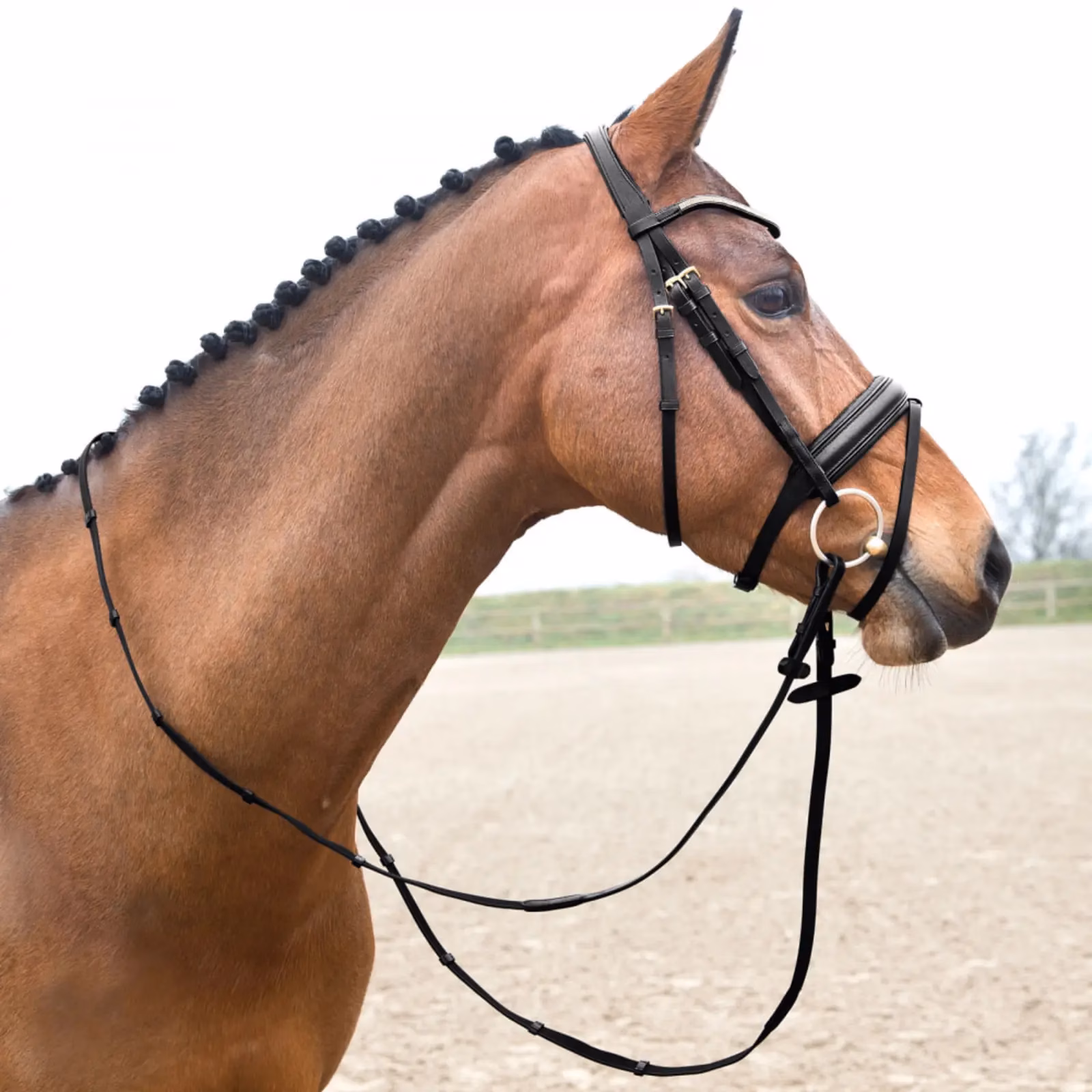 Horze Lester Dressage Snaffle Bridle w/ Reins