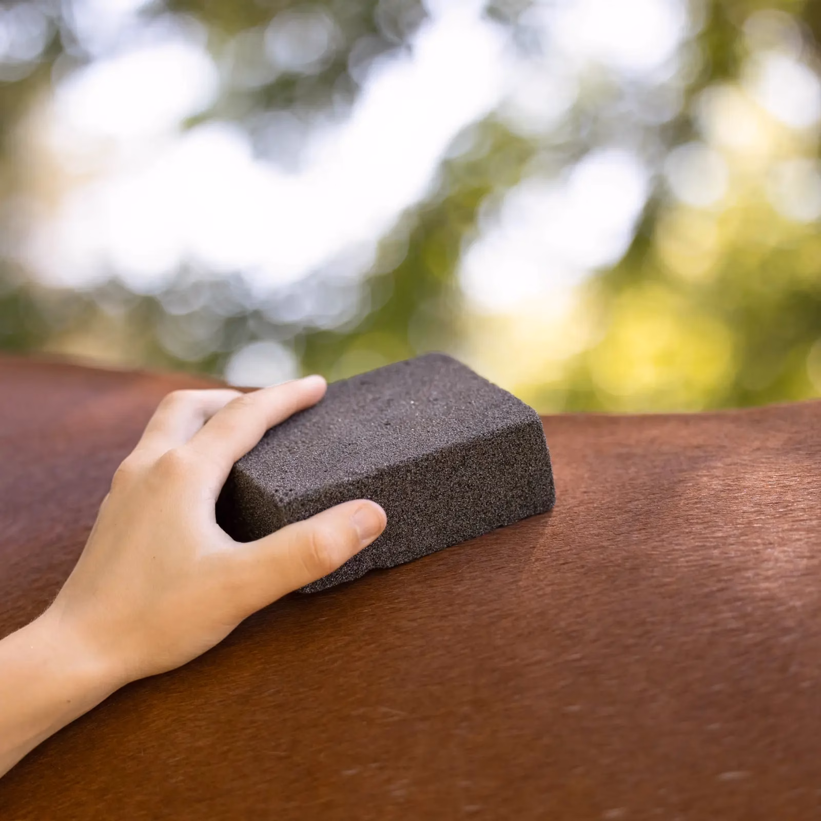 Horze Brush Stone