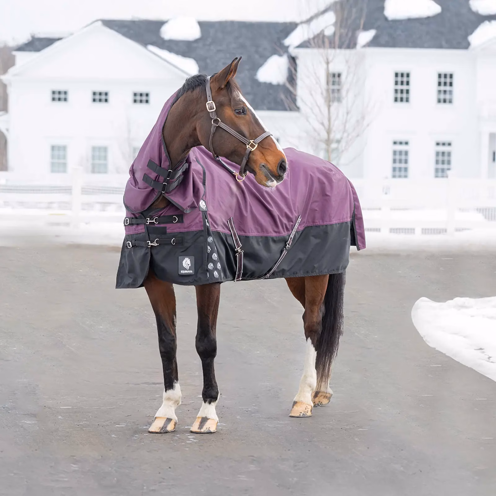 Equinavia Thunder 360 Detachable Neck Light Weight Turnout Blanket 100g