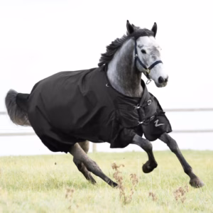 Horze Nevada Mid Weight Turnout Blanket 200g