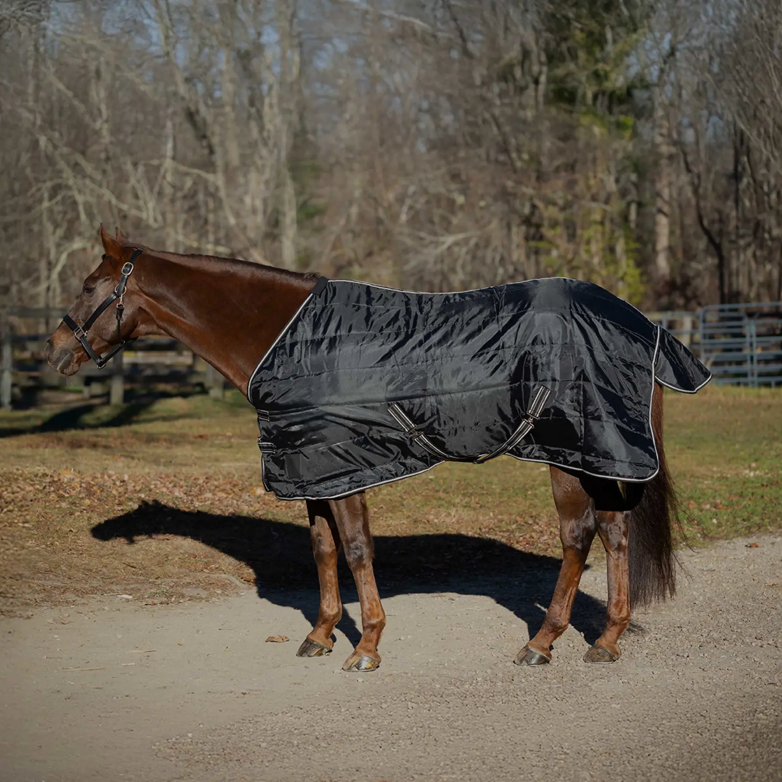 Equinavia Norse Stable Blanket 200g