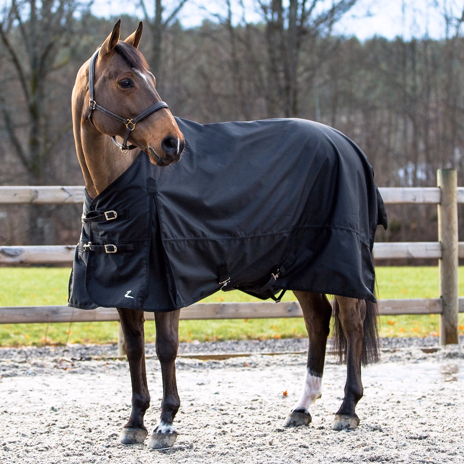 Horze Nevada Light Weight Turnout Sheet