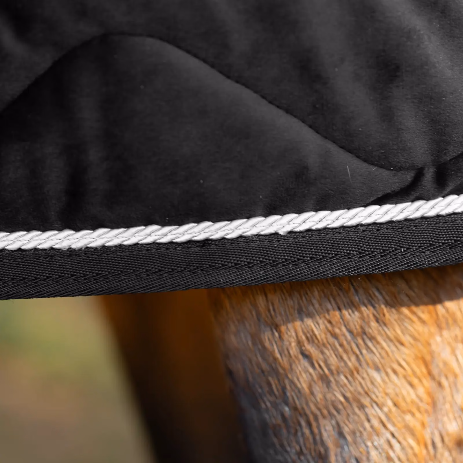 Equinavia Luksus Premium Cooler