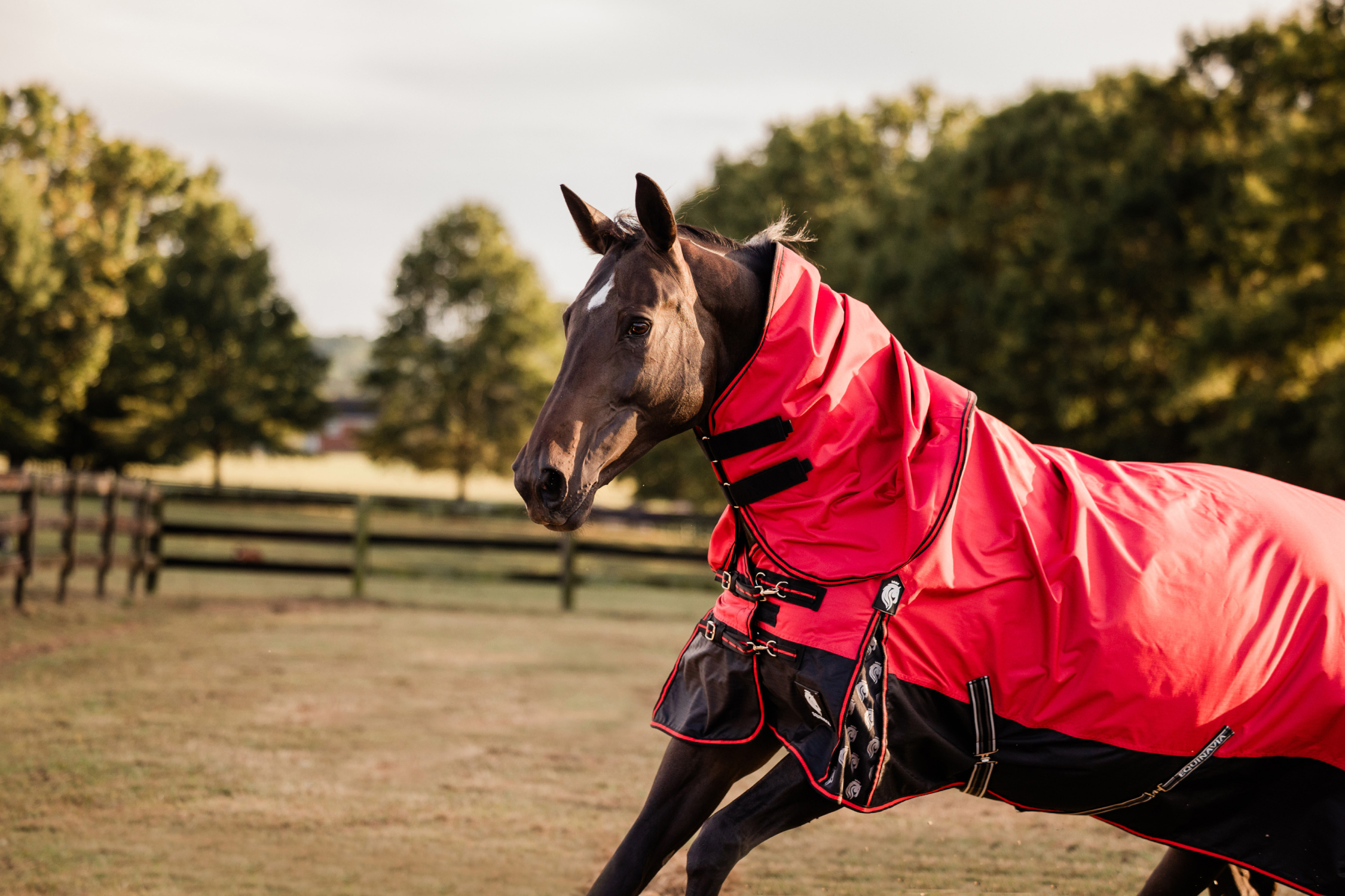 Blankets That Go the Distance