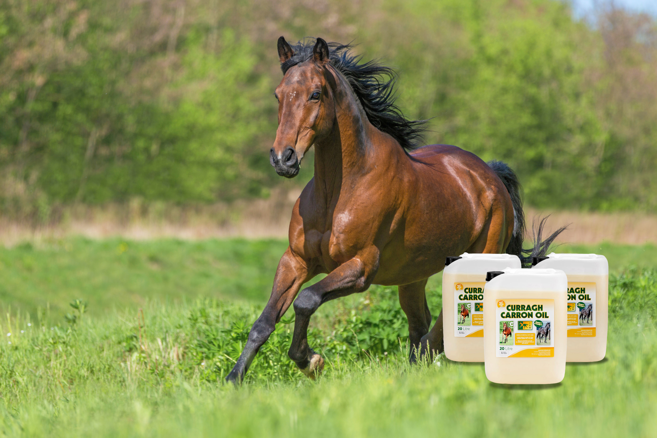 TRM: Curragh Carron Oil 