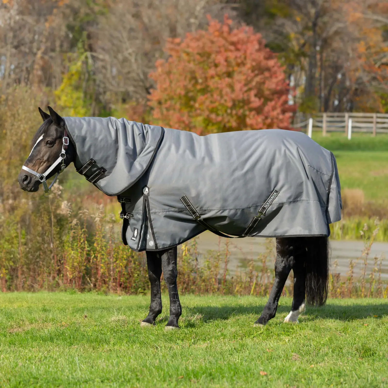 Equinavia Arktis Regular Neck Turnout Sheet