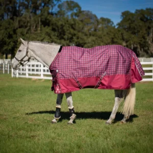 Equinavia Arktis Regular Neck Light Weight Turnout Blanket 100g