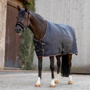 Horze Pegasus Pony Mid Weight 200gsm Turnout Blanket