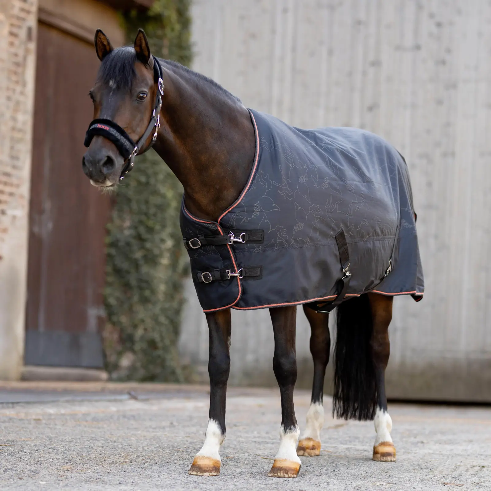 Horze Pegasus Pony Mid Weight 200gsm Turnout Blanket