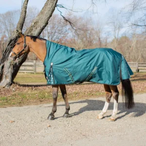 Equinavia Arktis Extended Neck Turnout Sheet