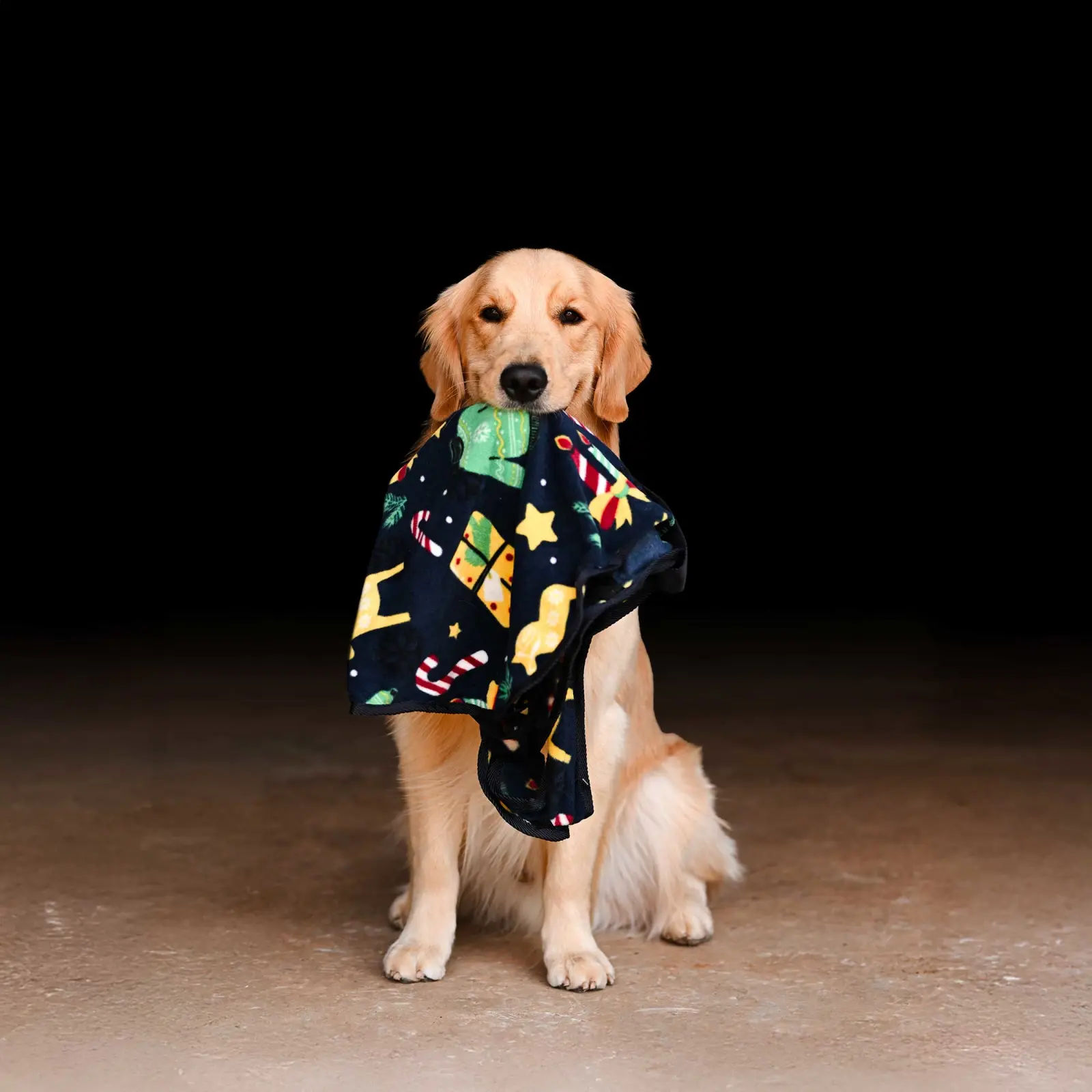 Horze Santa Dog Fleece Coat