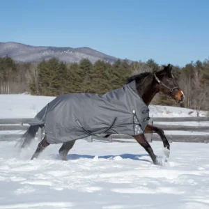 Equinavia Arktis Extended Neck Mid Weight Turnout Blanket 200g