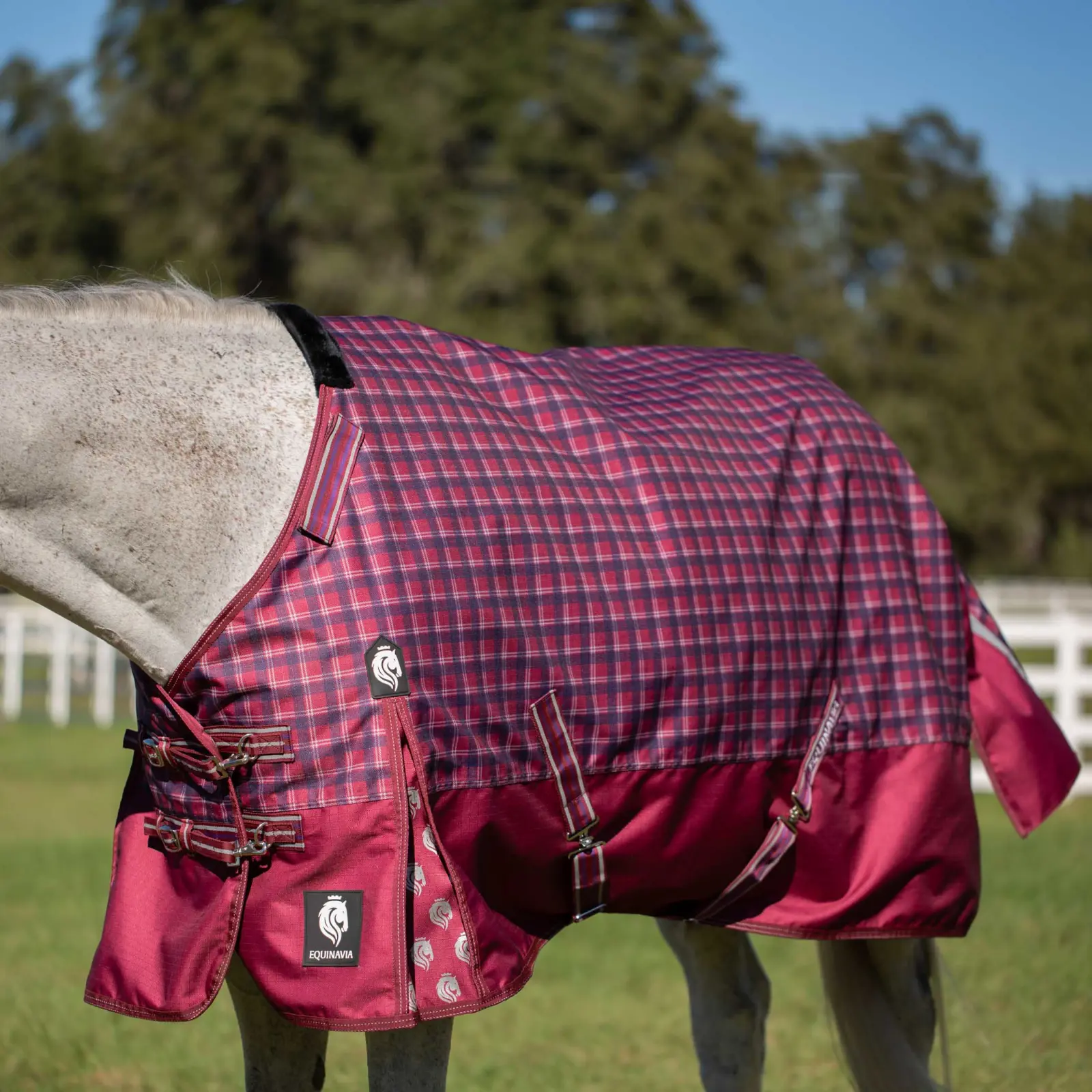 Equinavia Arktis Regular Neck Light Weight Turnout Blanket 100g
