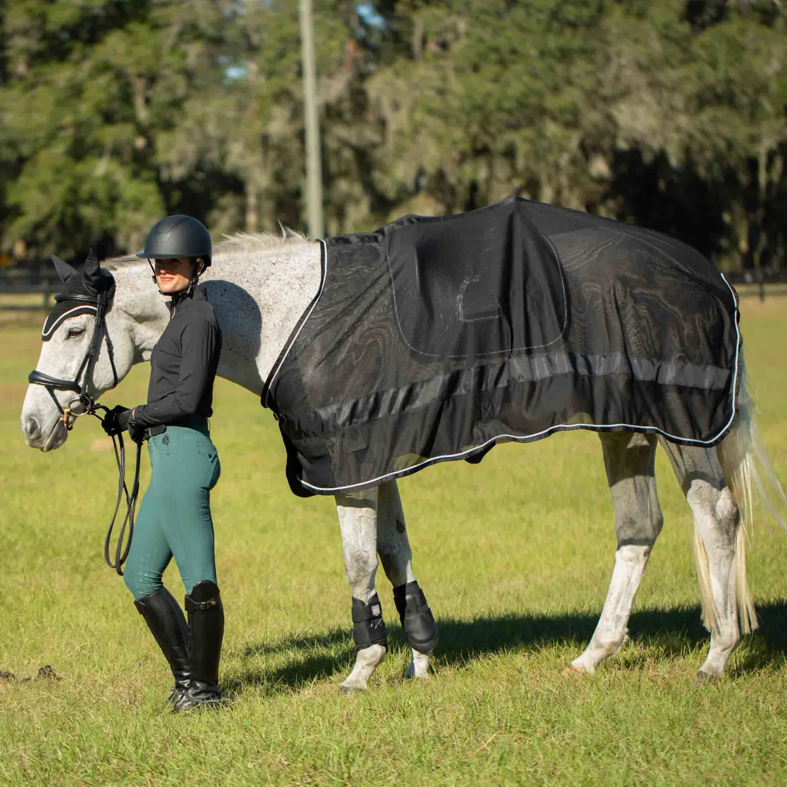 Equinavia Sol Ringside Scrim Sheet