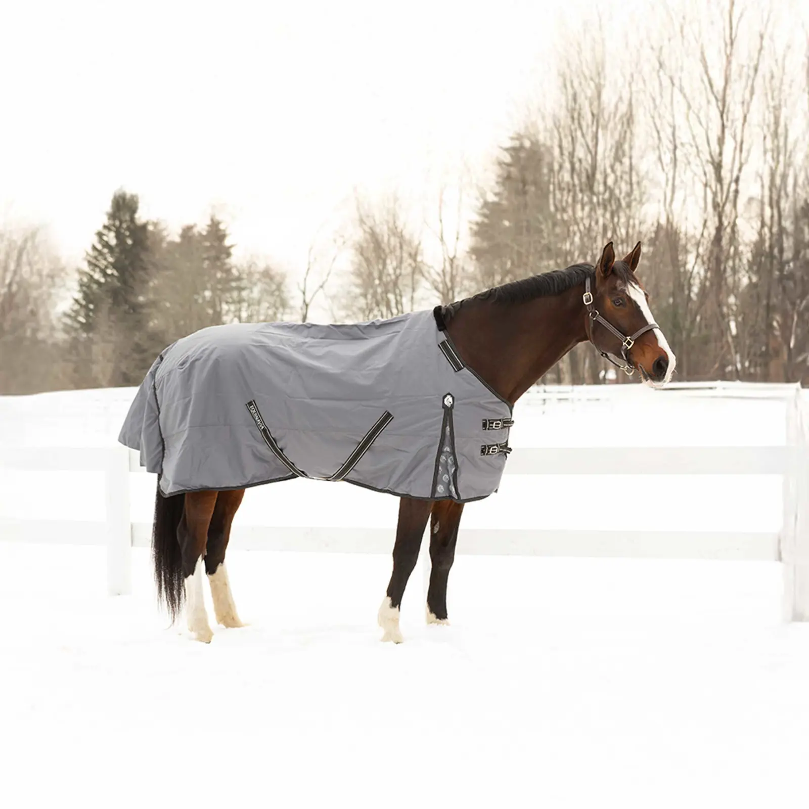 Equinavia Arktis Regular Neck Mid-Heavy Weight Turnout Blanket