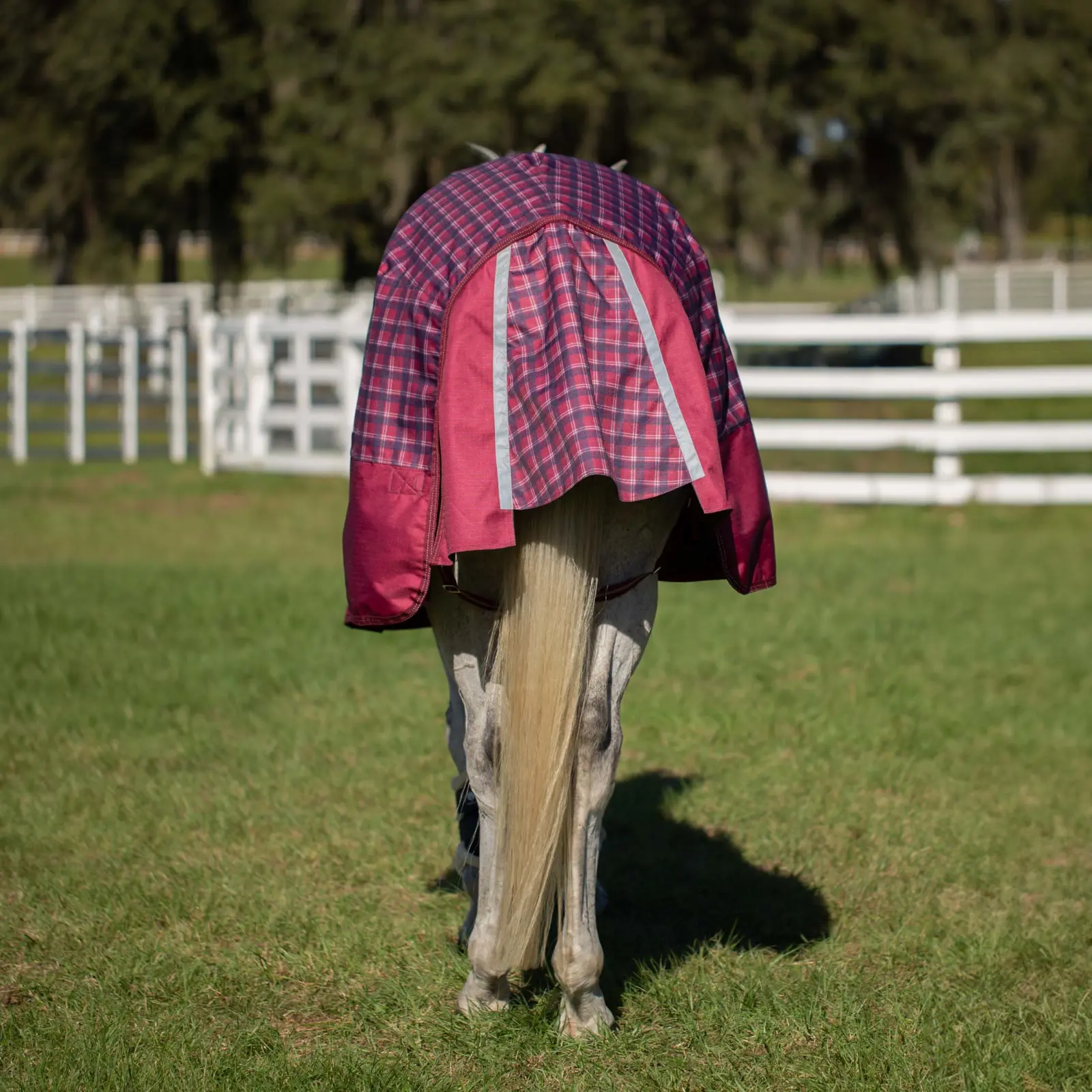 Equinavia Arktis Regular Neck Light Weight Turnout Blanket 100g