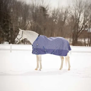Equinavia Arktis Regular Neck Mid-Heavy Weight Turnout Blanket