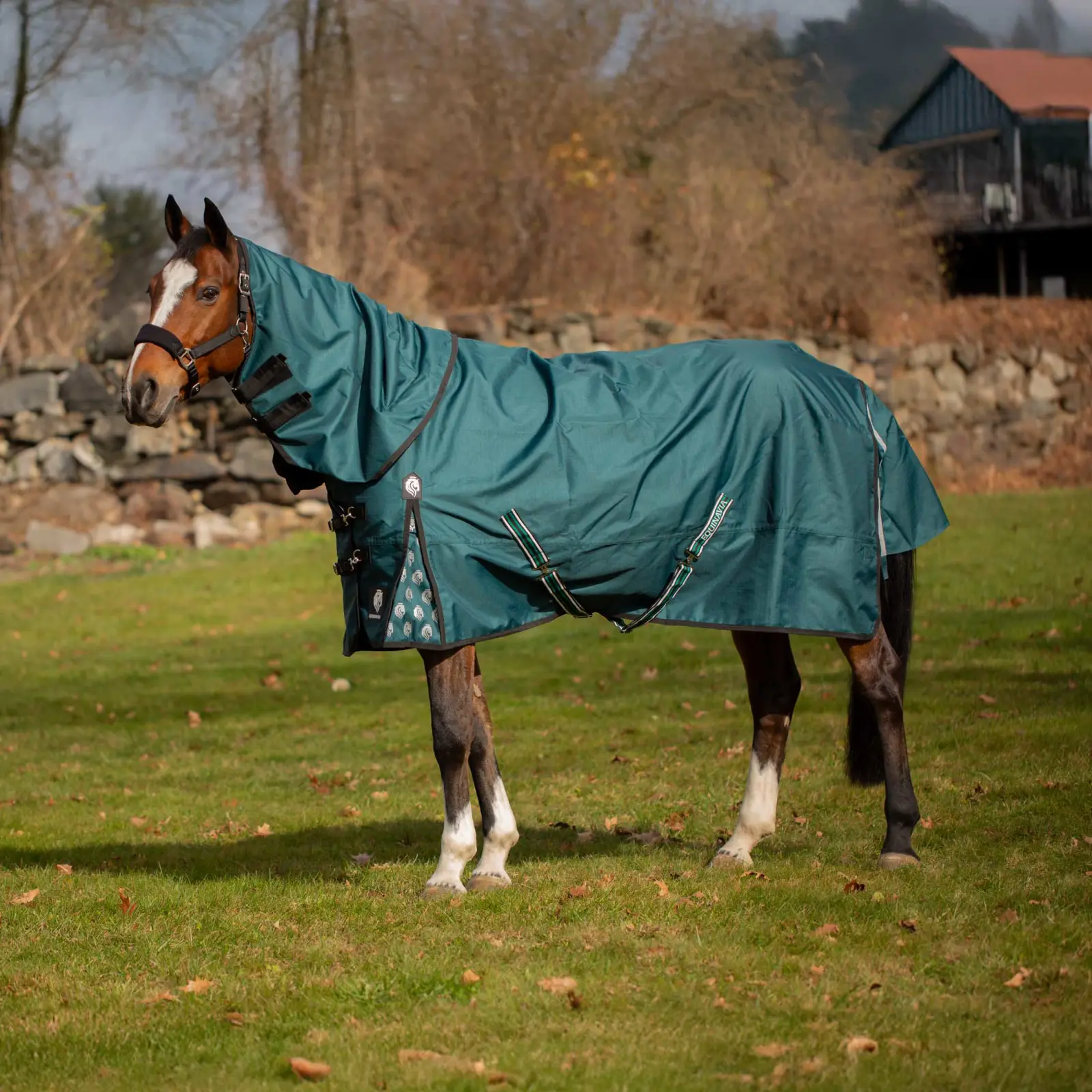 Equinavia Arktis Regular Neck Turnout Sheet